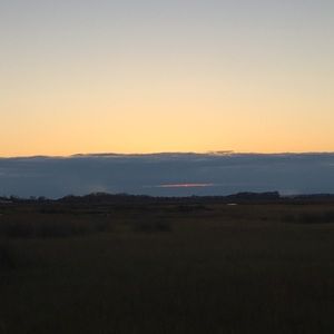 Meet your Posher, Sophia